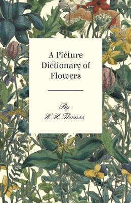 H. Thomas, H. H. Thomas - Picture Dictionary Of Flowers, Häftad