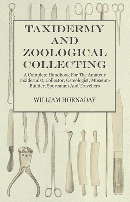 William Hornaday - Taxidermy And Zoological Collecting - A Complete Handbook For The Amateur Taxidermist, Collector, Osteologist, Museum-Builder, Sportsman And Travellers, Häftad