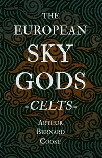 bokomslag The European Sky Gods - Celts (Folklore History Series)