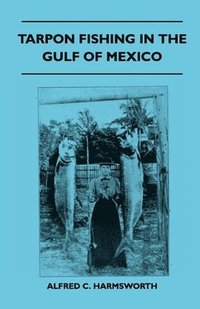 bokomslag Tarpon Fishing In The Gulf Of Mexico