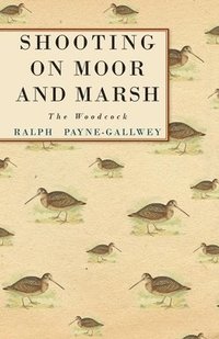 bokomslag Shooting On Moor And Marsh - The Woodcock