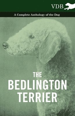 The Bedlington Terrier - A Complete Anthology of the Dog - 1