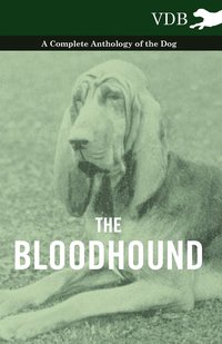 bokomslag Bloodhound - A Complete Anthology of the Dog -