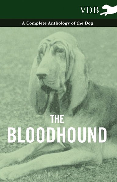 bokomslag Bloodhound - A Complete Anthology of the Dog -
