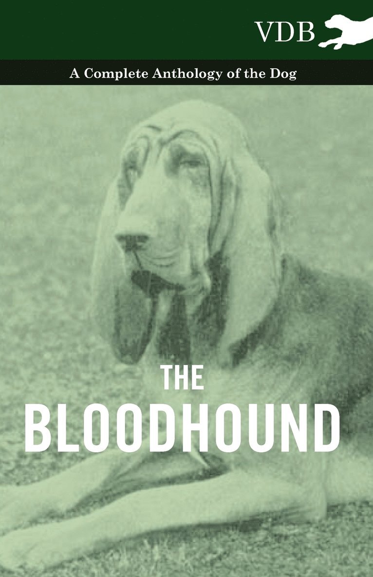 Bloodhound - A Complete Anthology of the Dog - 1