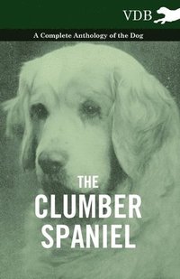 bokomslag The Clumber Spaniel - A Complete Anthology of the Dog -