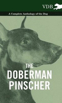 bokomslag The Doberman Pinscher - A Complete Anthology of the Dog -