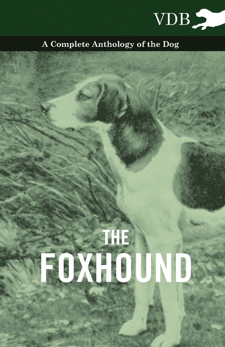 Various, Various (selected by the Federation of Children's Book Groups) - Foxhound - A Complete Anthology of the Dog, Häftad