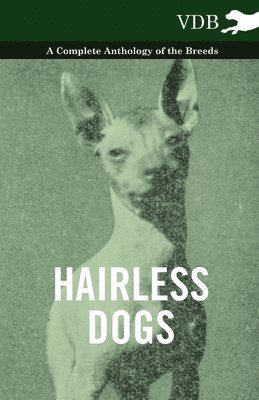 Hairless Dogs - A Complete Anthology of the Breeds 1