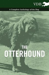 bokomslag The Otterhound - A Complete Anthology of the Dog