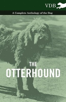 The Otterhound - A Complete Anthology of the Dog 1