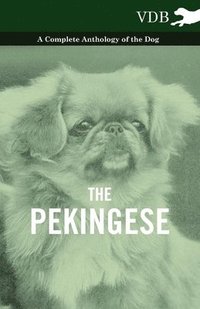 bokomslag The Pekingese - A Complete Anthology of the Dog