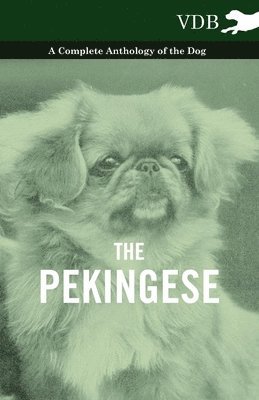 bokomslag Pekingese - A Complete Anthology of the Dog