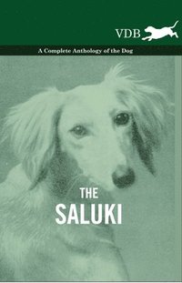 bokomslag Saluki - A Complete Anthology of the Dog