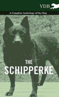 bokomslag Schipperke - A Complete Anthology of the Dog