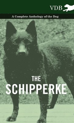 bokomslag Schipperke - A Complete Anthology of the Dog