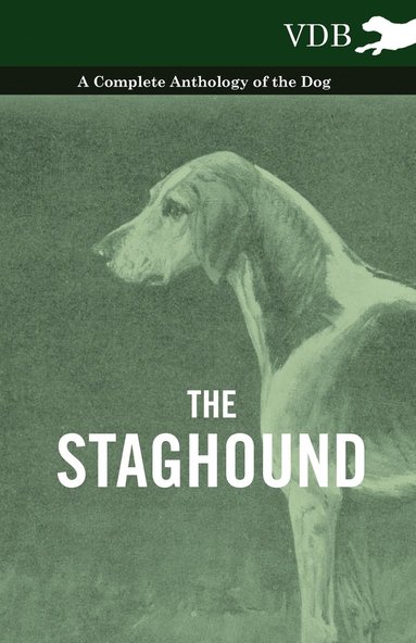 bokomslag The Staghound - A Complete Anthology of the Dog