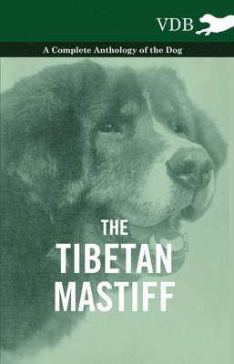 bokomslag Tibetan Mastiff - A Complete Anthology of the Dog