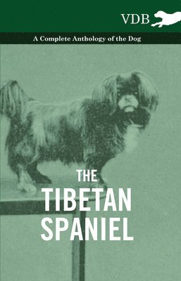 bokomslag Tibetan Spaniel - A Complete Anthology of the Dog