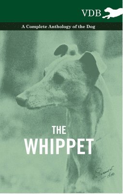 bokomslag Whippet - A Complete Anthology of the Dog