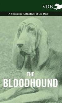 bokomslag Bloodhound - A Complete Anthology of the Dog -