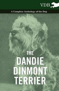 bokomslag The Dandie Dinmont Terrier - A Complete Anthology of the Dog -