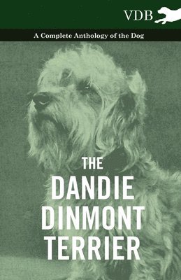 The Dandie Dinmont Terrier - A Complete Anthology of the Dog - 1