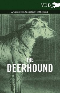 bokomslag The Deerhound - A Complete Anthology of the Dog -