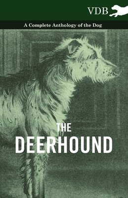bokomslag Deerhound - A Complete Anthology of the Dog -