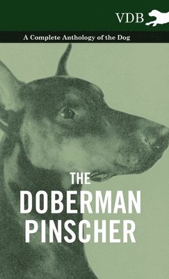 bokomslag Doberman Pinscher - A Complete Anthology of the Dog -