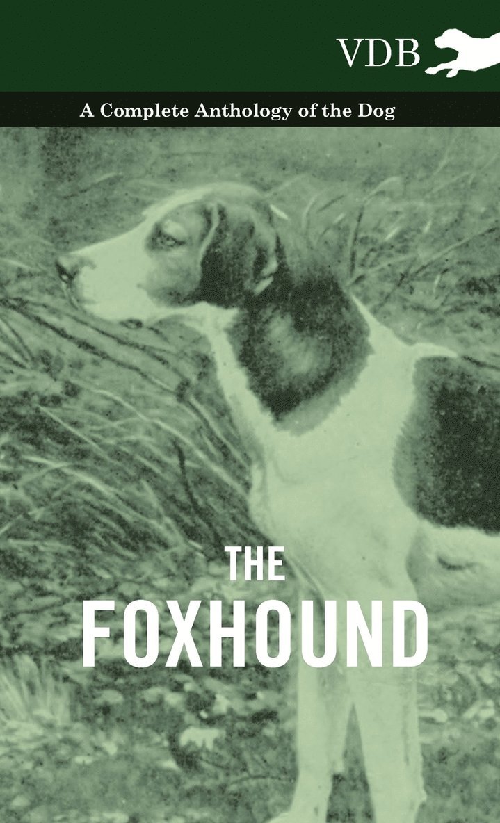 Foxhound - A Complete Anthology of the Dog