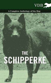 bokomslag The Schipperke - A Complete Anthology of the Dog
