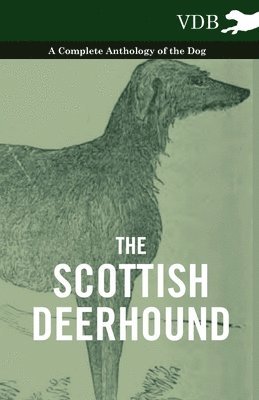 bokomslag Scottish Deerhound - A Complete Anthology of the Dog