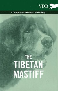 bokomslag Tibetan Mastiff - A Complete Anthology of the Dog