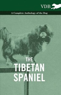 bokomslag Tibetan Spaniel - A Complete Anthology of the Dog
