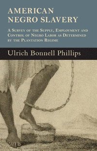 bokomslag American Negro Slavery - A Survey Of The Supply, Employment And Control Of Negro Labor As Determined By The Plantation Regime