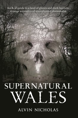 Supernatural Wales 1