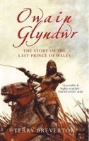 bokomslag Owain Glyndwr