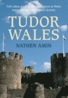 bokomslag Tudor Wales