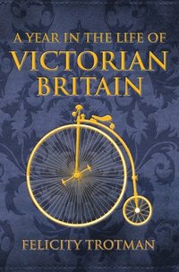 bokomslag A Year in the Life of Victorian Britain