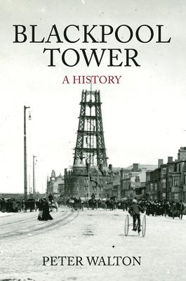 bokomslag Blackpool Tower A History