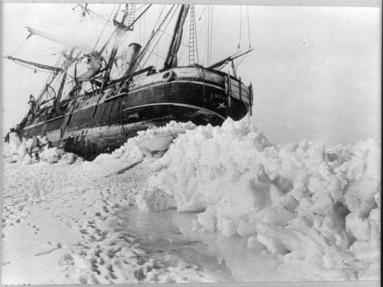 bokomslag Antarctica