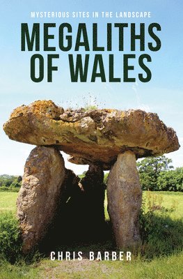 bokomslag Megaliths of Wales