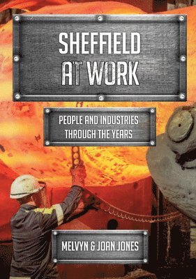 bokomslag Sheffield at Work