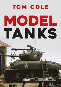 bokomslag Model Tanks
