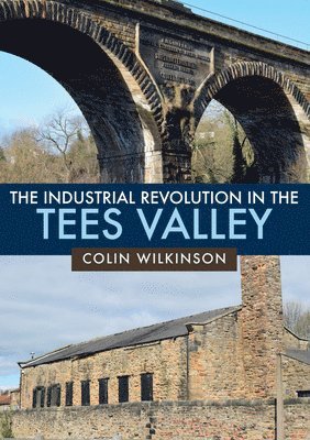 Colin Wilkinson - Industrial Revolution in the Tees Valley, Häftad