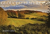 bokomslag Gloucestershire in Photographs