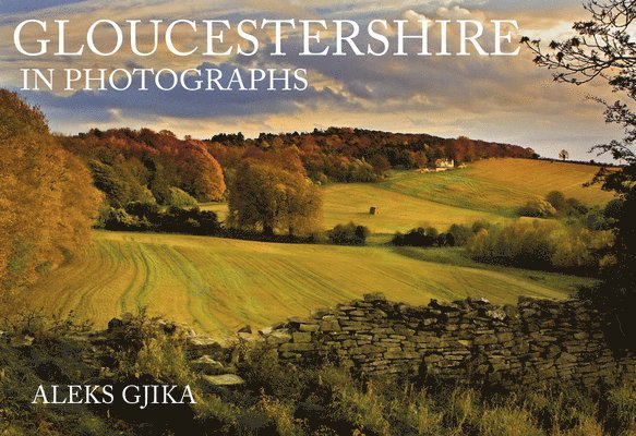 Gloucestershire in Photographs 1