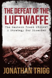 bokomslag The Defeat of the Luftwaffe