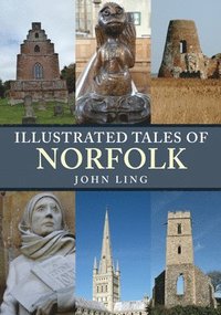 bokomslag Illustrated Tales of Norfolk